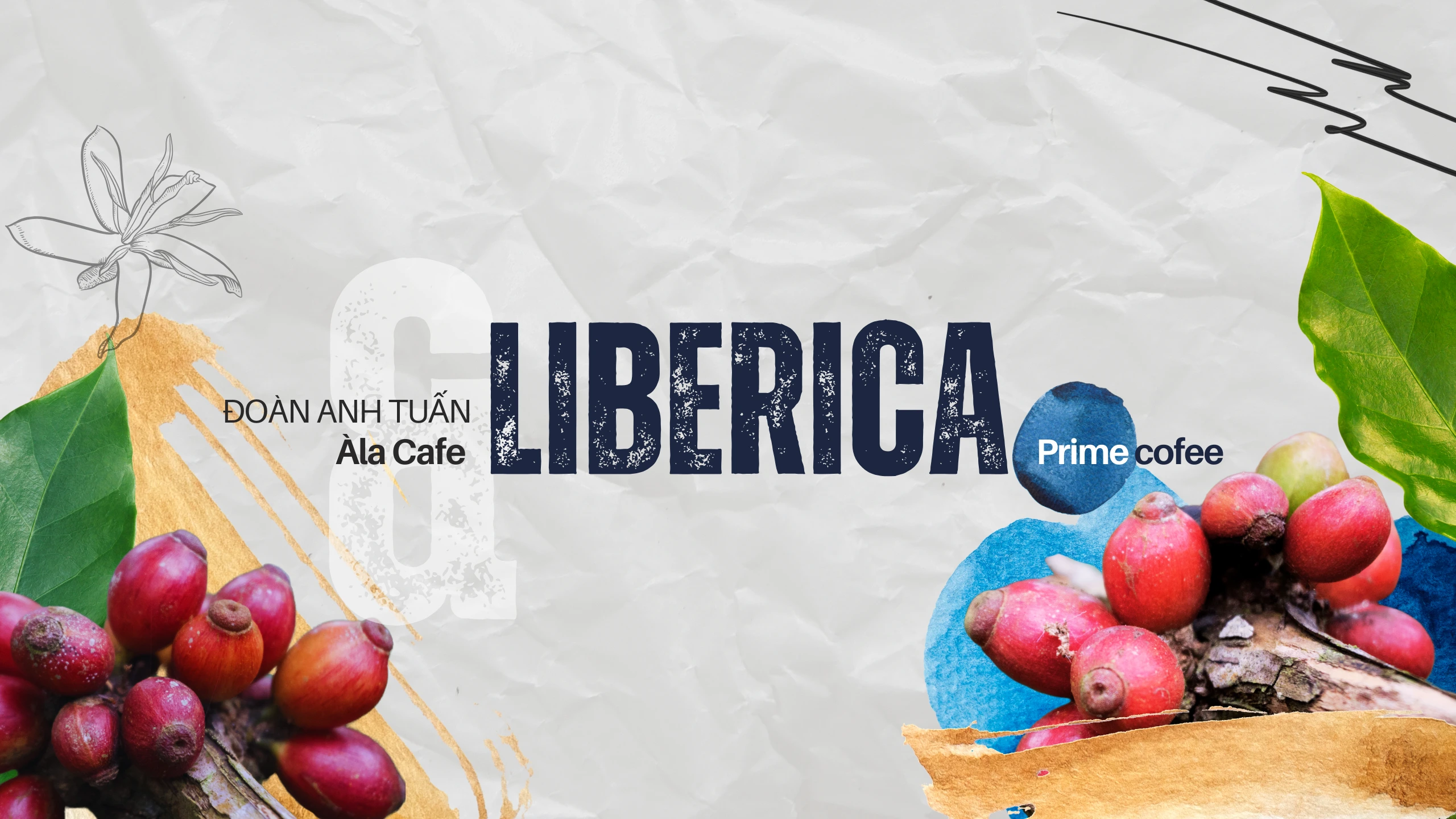 Liberica Quảng Trị – Vị ngọt chưa từng được kể