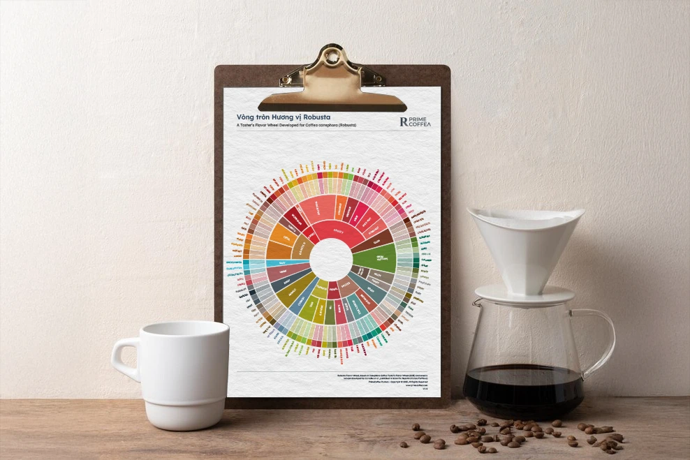 Vòng tròn Hương vị Robusta Bước tiến mới cho Fine Robusta